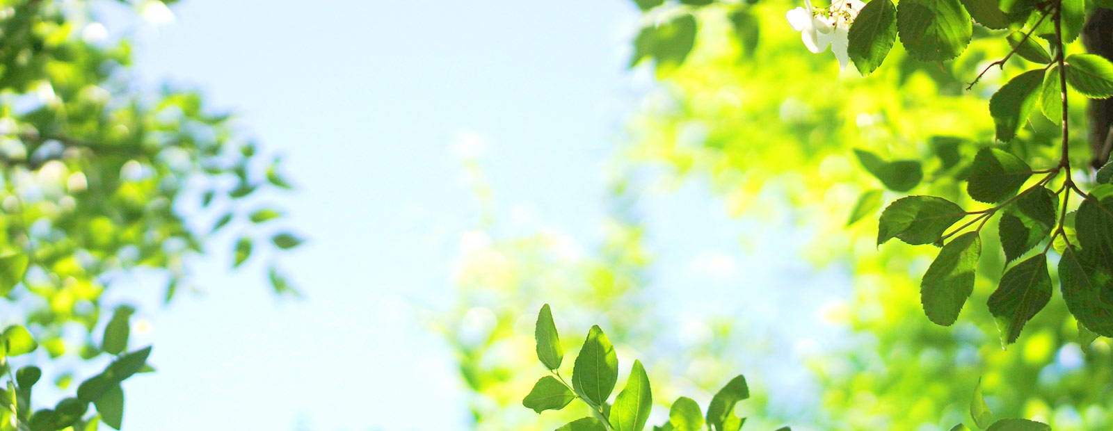 キービジュアルイメージ01